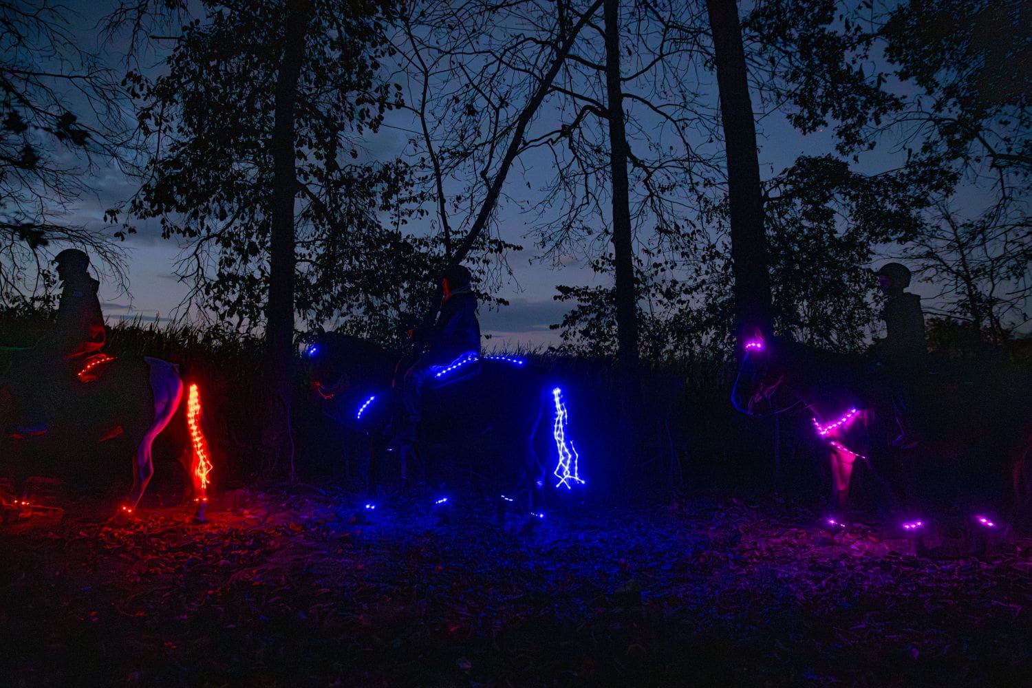 Glow Ride horseback experience at Horse Tours of Gettysburg