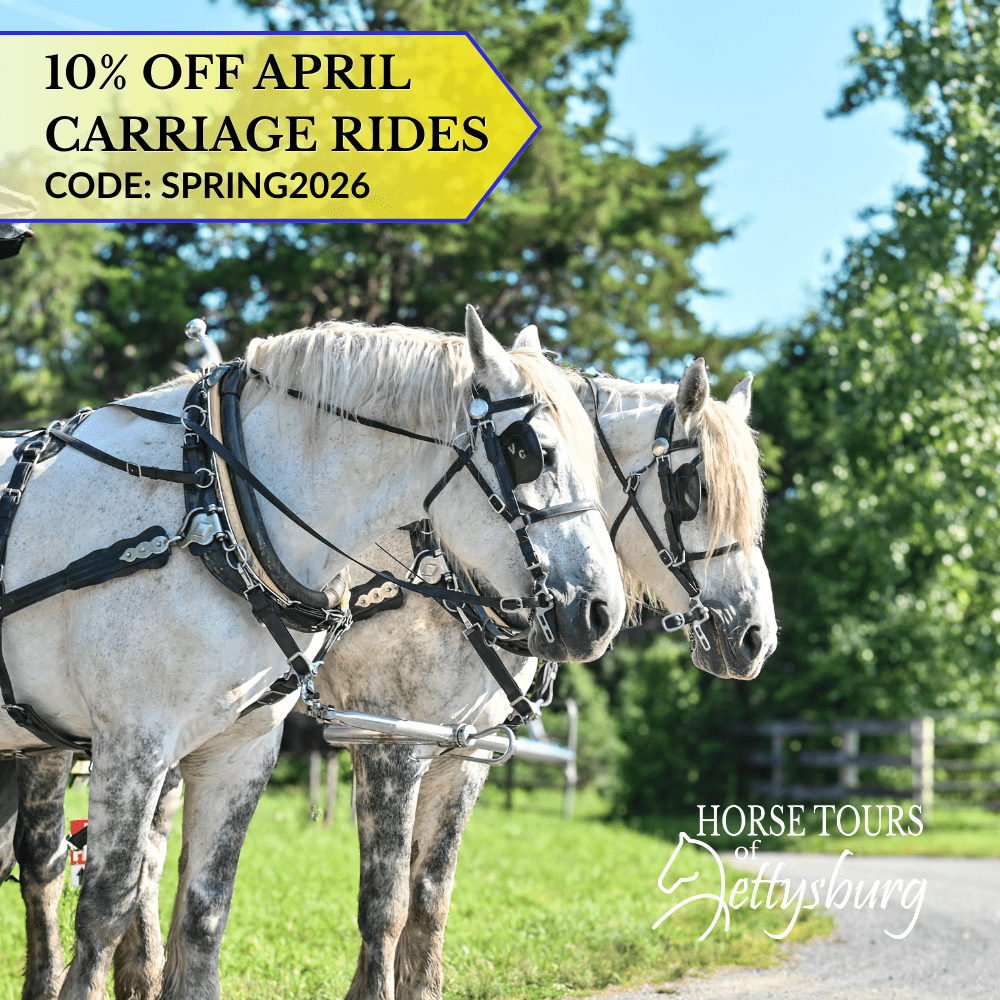 10% OFF April Carraige Rides